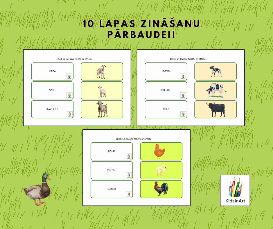 Mājdzīvnieku ģimenes 🐕🐩🐕‍🦺
