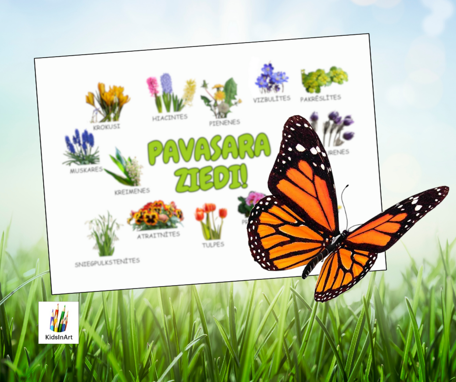 Pavasara ziedi 💐